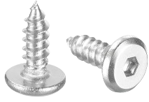 HEX BOLT
